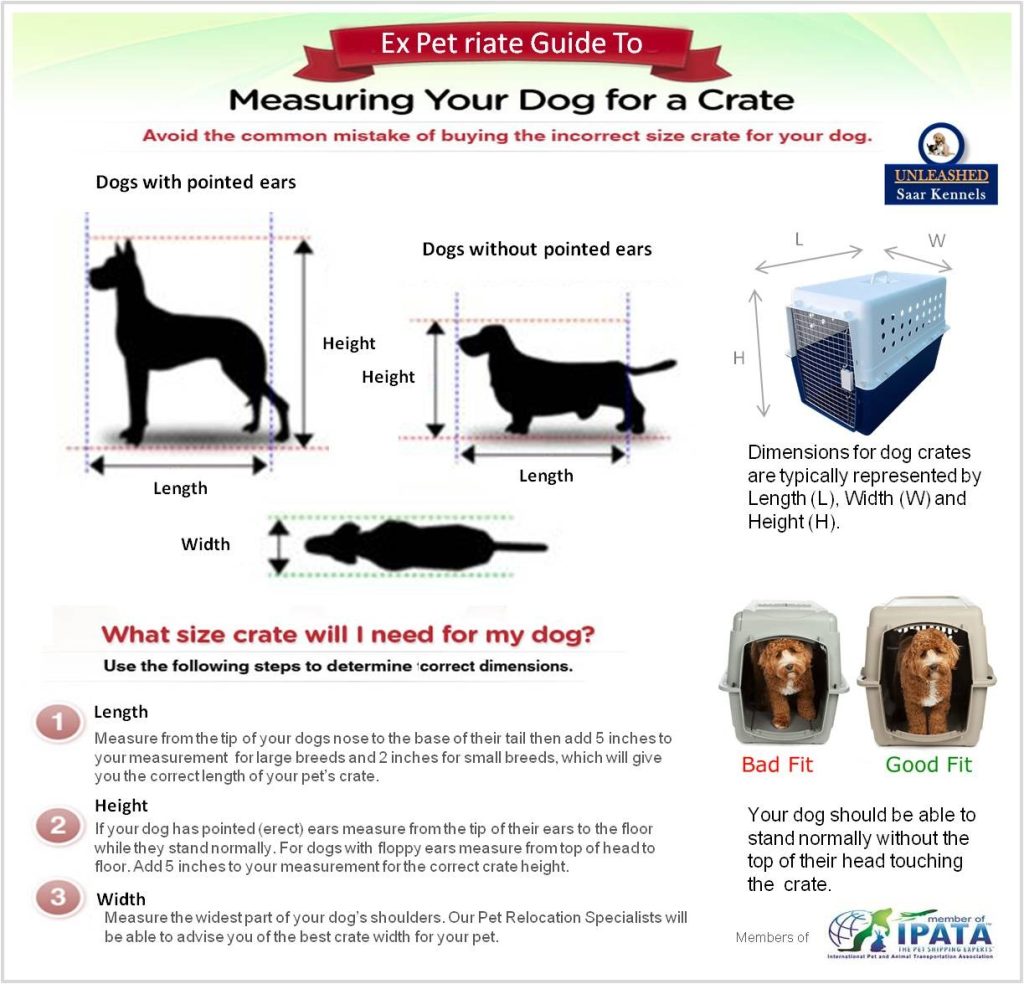Measuring your pet for a crate.